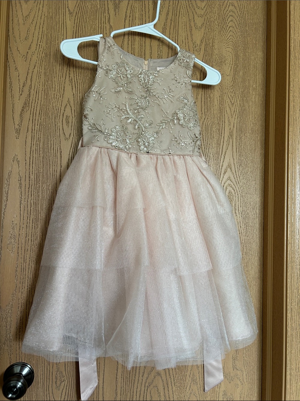 Biscotti Sparkling Blush Pink Embroidered Tulle Dress